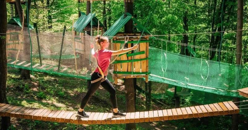 Park linowy Żar - emocjonujące trasy i bezpieczeństwo dla każdego