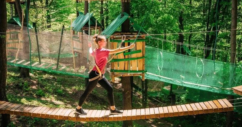 Park linowy Żar - emocjonujące trasy i bezpieczeństwo dla każdego