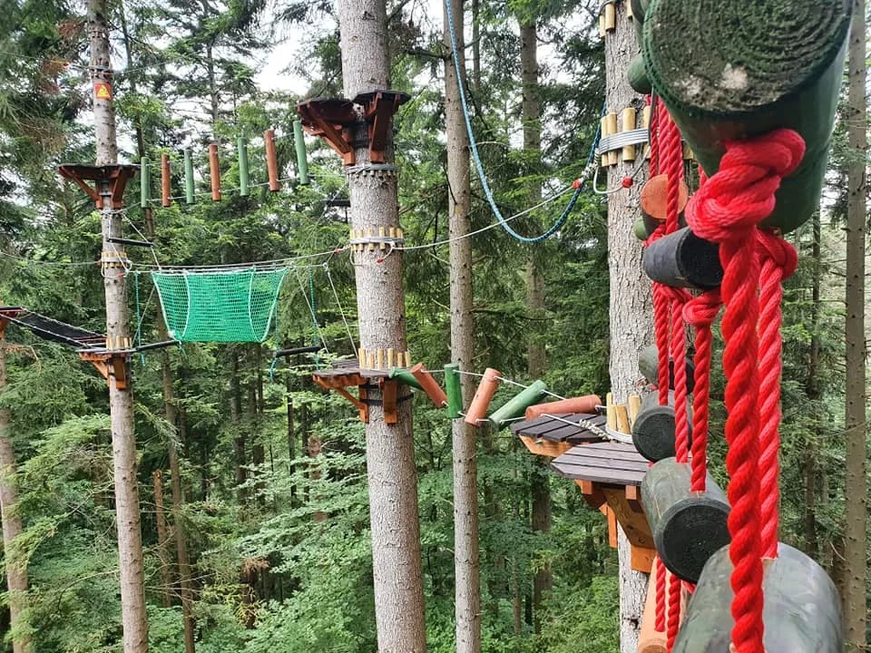 Największy park linowy w Bieszczadach - emocjonujące trasy i atrakcje