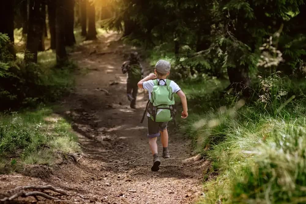 Gdzie najlepiej pojechać z dzieckiem w góry - bezpieczne i atrakcyjne miejsca