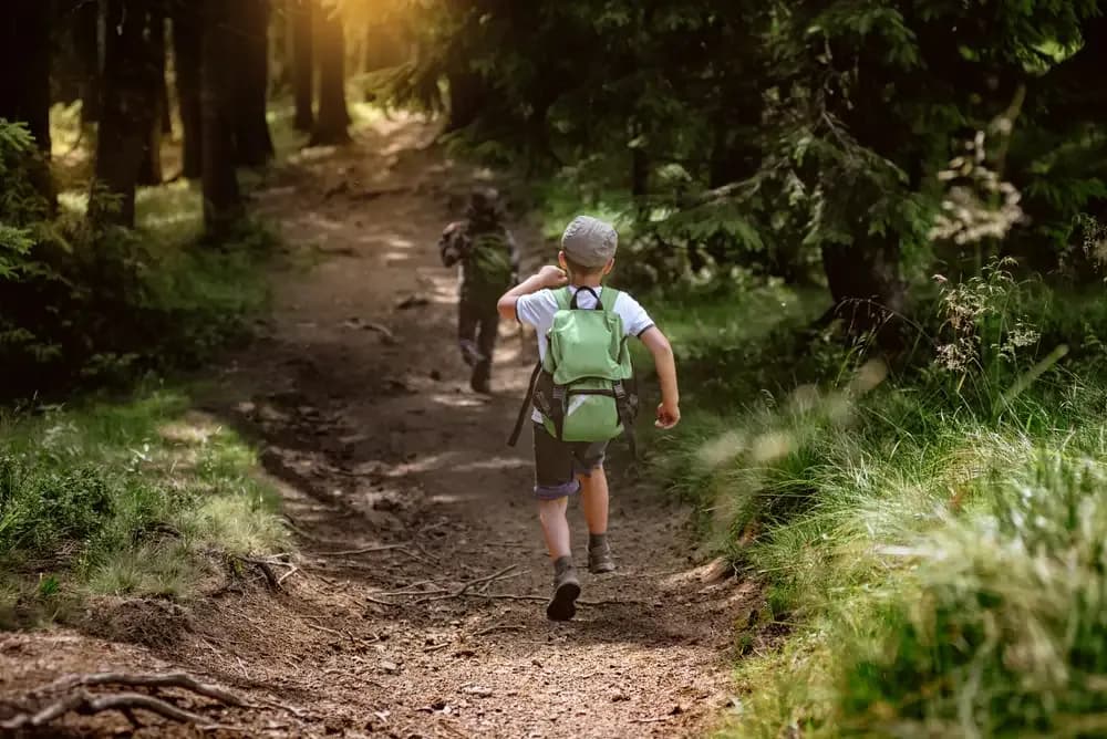 Gdzie najlepiej pojechać z dzieckiem w góry - bezpieczne i atrakcyjne miejsca
