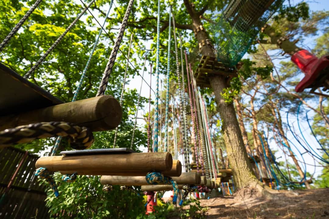 Park linowy Stegna - emocjonujące trasy i bezpieczeństwo dla każdego