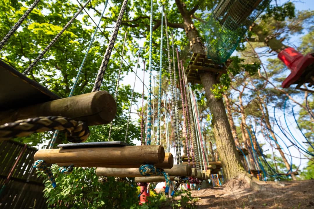 Park linowy Stegna - emocjonujące trasy i bezpieczeństwo dla każdego