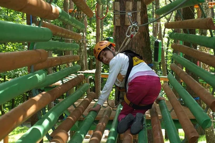 Park linowy Krosno - atrakcje, bezpieczeństwo i godziny otwarcia