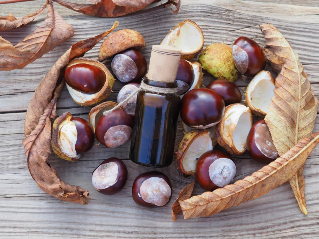 Jak zrobić strój kasztana dla dziecka - łatwe i kreatywne pomysły