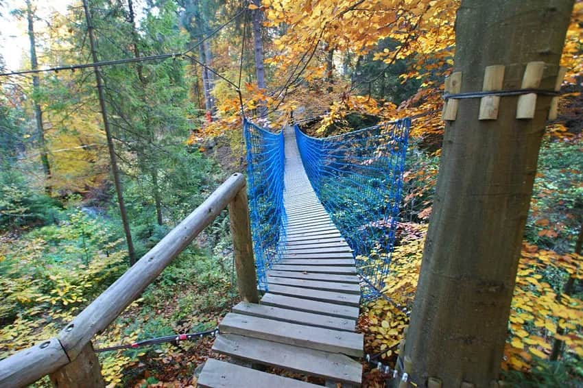 Krynicki Park Linowy – atrakcje, ceny i trasy dla całej rodziny