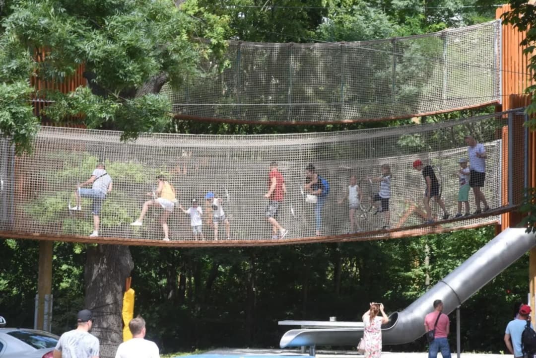 Najlepsze parki linowe w Polsce – sprawdź, gdzie warto się wybrać