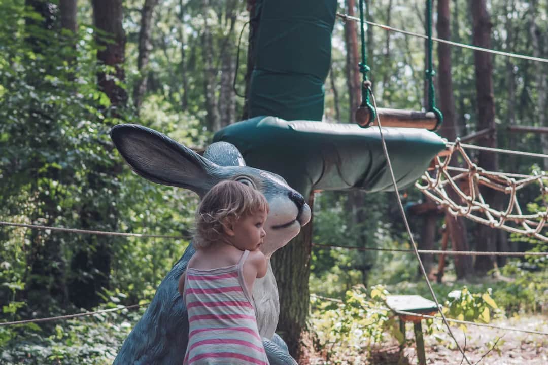 Park linowy przy Bażantarni - idealne miejsce na rodzinną przygodę