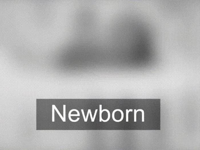 Co widzi 2 tygodniowe dziecko? Zaskakujące fakty o wzroku niemowląt Co widzi 2 tygodniowe dziecko? Zaskakujące fakty o wzroku niemowląt