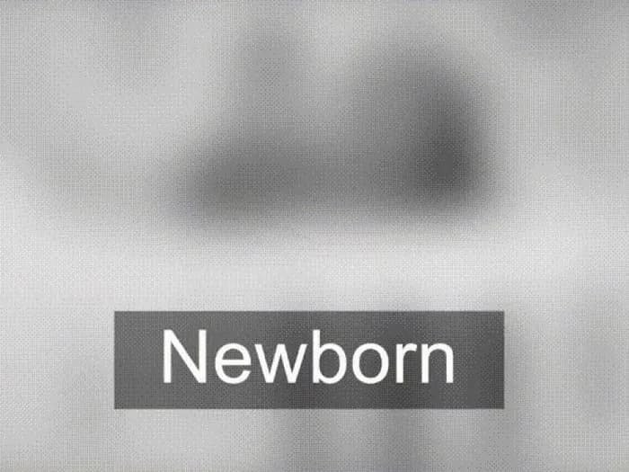 Co widzi 2 tygodniowe dziecko? Zaskakujące fakty o wzroku niemowląt