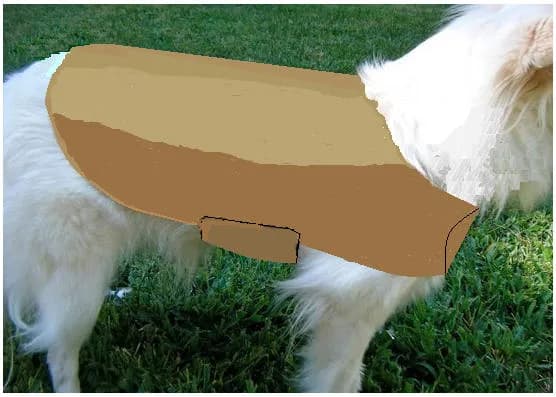 Jak zrobić strój psa: proste kroki i porady dla każdego właściciela