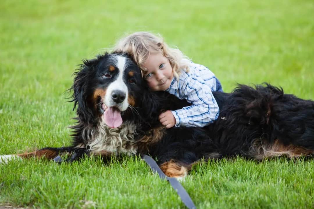 Jakie zwierzę dla dziecka z autyzmem - najlepsze wybory i porady