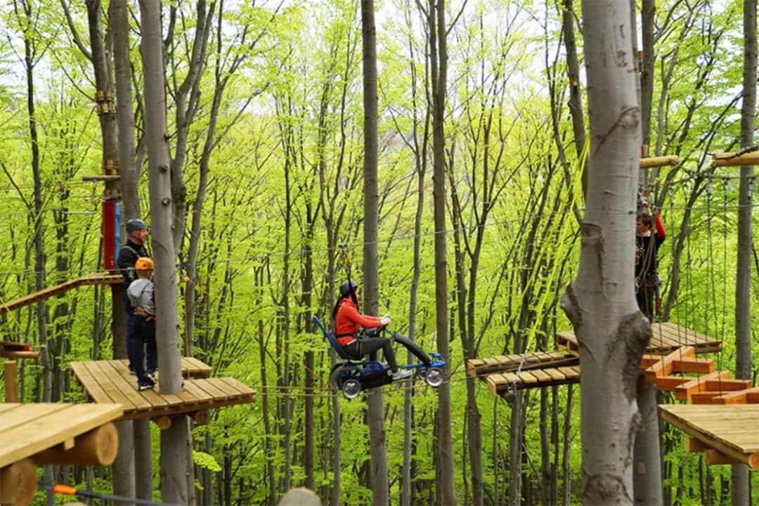 Park linowy Ustroń - emocjonujące trasy i bezpieczeństwo dla każdego